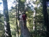Aiden balances on the Horizontal Tree 