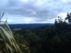 Another Dome Forest View 