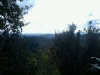 A View – Dome Forest