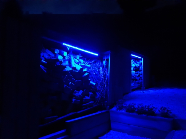 shed lights blue