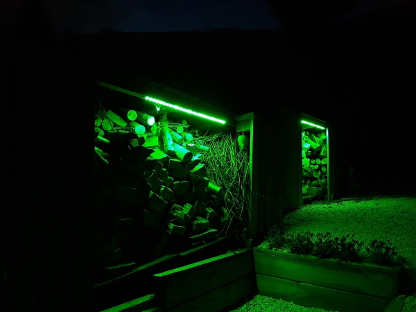 shed lights green