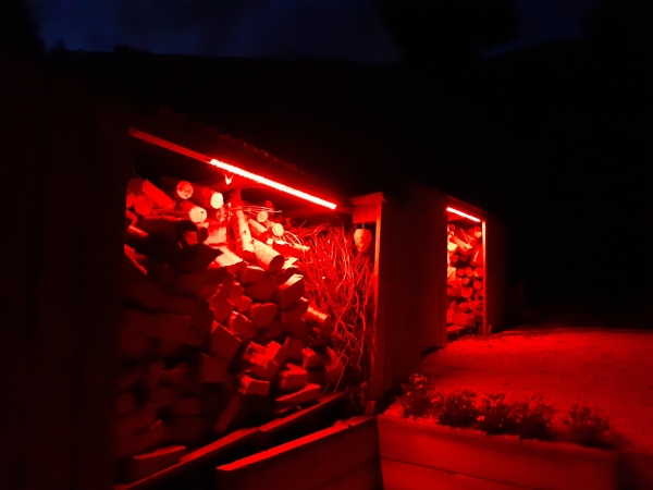 shed lights red